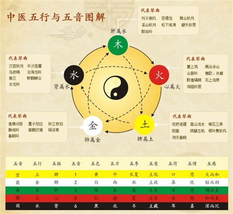 五行 五脏|中医五行学